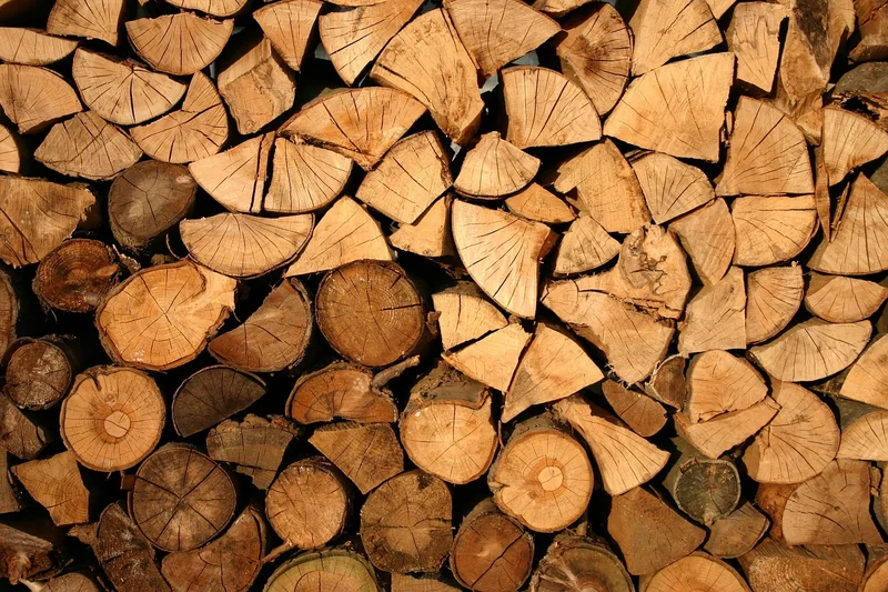 Déforestation : le couteau dans la plaie