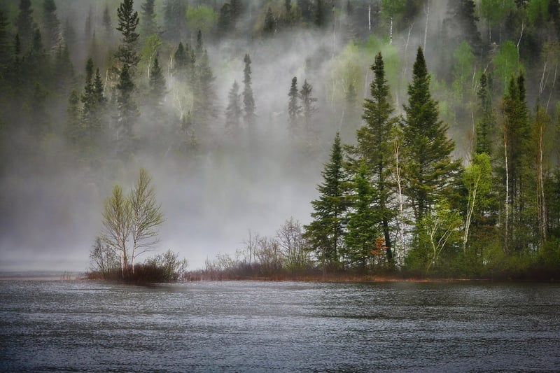 Comment le changement climatique bouleverse la biodiversité locale en 2026